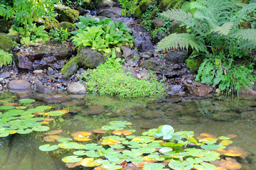 Small Waterfall and Pond