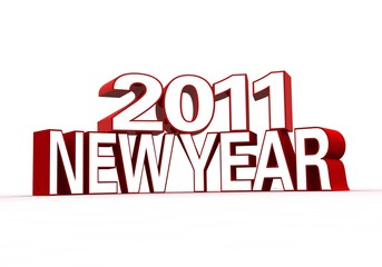 2011 new year