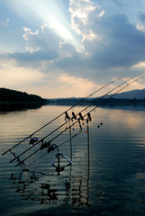 Carpfishing, raggio di sole al tramonto
