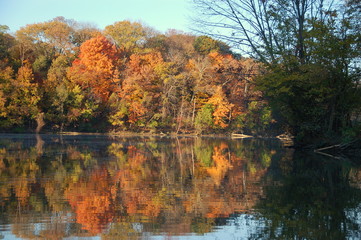 autumn reflections