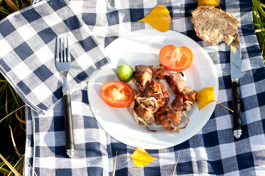 Grilled meat pieces with vegetables