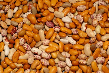 Beans