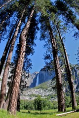 Yosemite Falls