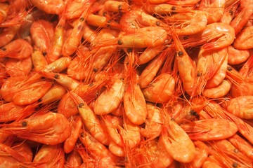 Shrimps