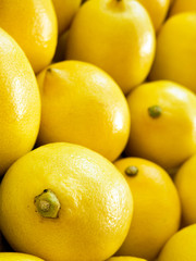 lemon vertical macro