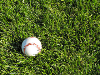 Baseball sitting on grassy field