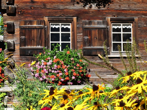 Fototapeta Zwei Fenster mit Blumen an altem Bauernhaus