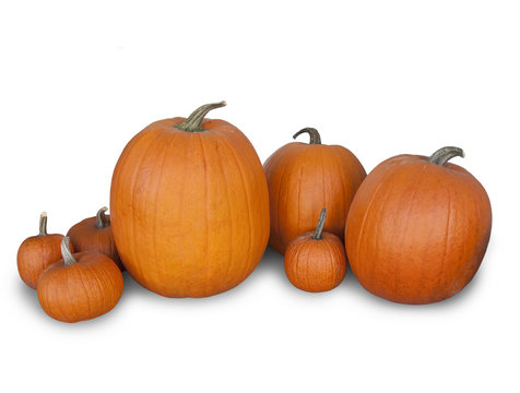 Halloween Pumpkins isolated on a white background