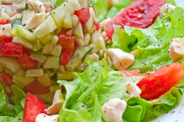 Fresh vegetable salad