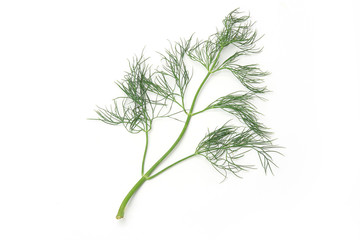 Healthy food. Dill