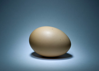 Natural egg with shadow
