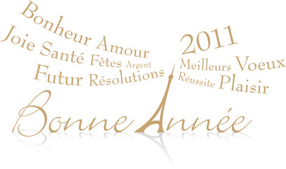 Bonne année 2011 - Paris