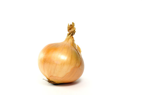 Zwiebel