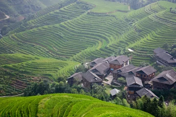 Muurstickers terrace and village © ping han