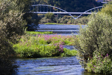 paisaje del rio