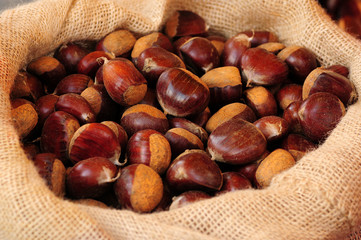 castagne