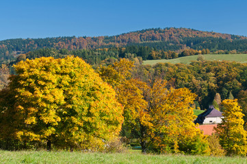 Autumn Countryside