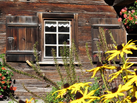 Fototapeta Fenster mit Blumen an alter Berghütte