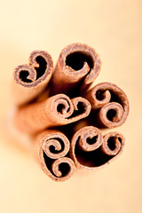 Obraz na płótnie Canvas Six cinnamon sticks in a warm background