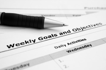 Weekly goals and objectives
