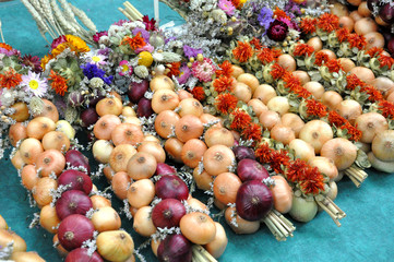 Zwiebelzöpfe © Henry Czauderna