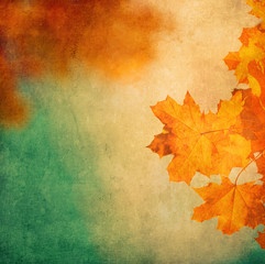 grunge background with autumn leaves