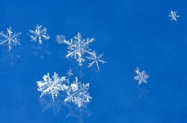 Snowflakes on blue background