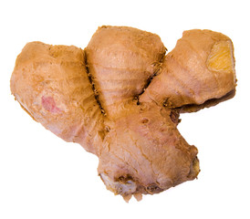 Root Ginger