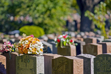 Montreal cemetery