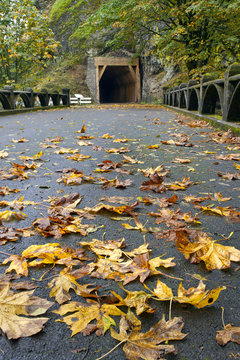 Tunnel on Oneonta Gorge Hiking Trail