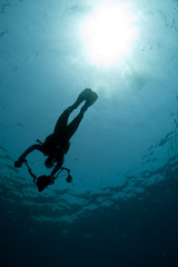 Fototapeta na wymiar diver - underwater photographer- silhouet