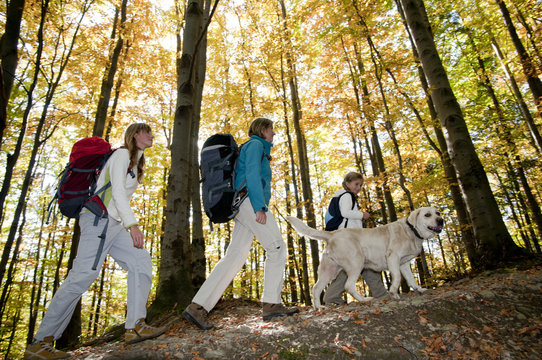 Family With Dog On Autumn Trek