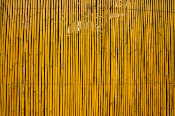 Bamboo fence