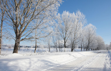 winter landscape