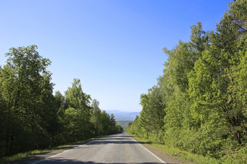 Дорога между деревьев © kos1976