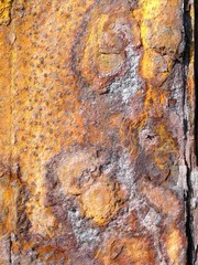 Roststrukturen