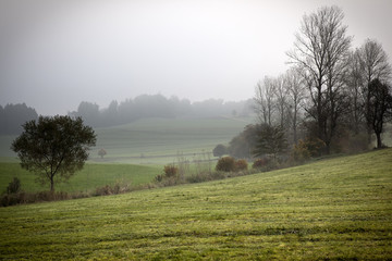 nebel
