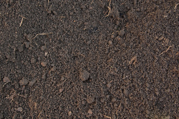 Pattern of humus soil - obrazy, fototapety, plakaty
