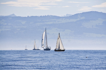 Segelboote am Bodensee © GHotz