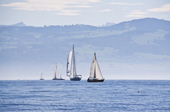Segelboote am Bodensee