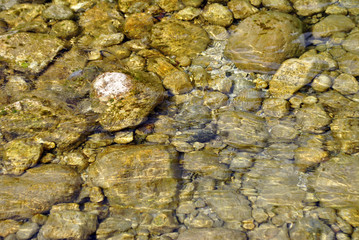 Fototapeta na wymiar stones in a river