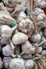 Świeży czosnek na markecie