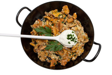 Schwammerl-Ragout