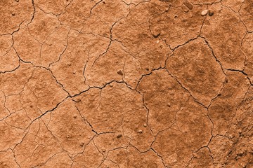 Soil