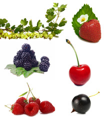 berries