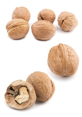 Circassian walnut isolated on the white background