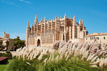 Cathedral of Palma de Majorca, Spain © Ray