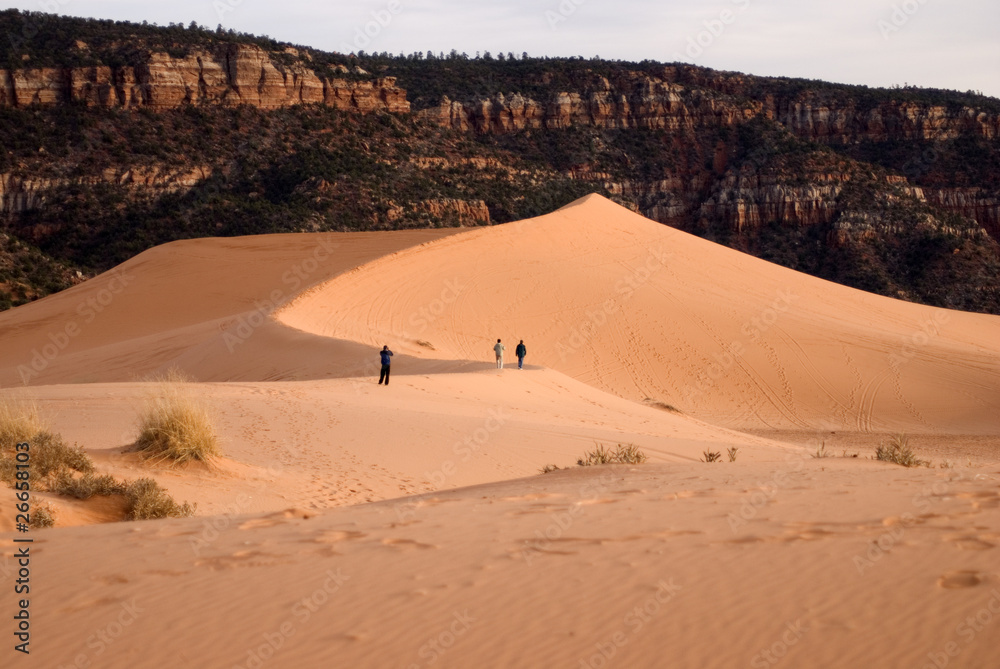 Wall mural Coral Pink Sand Dunes State Park