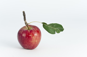 Manzana