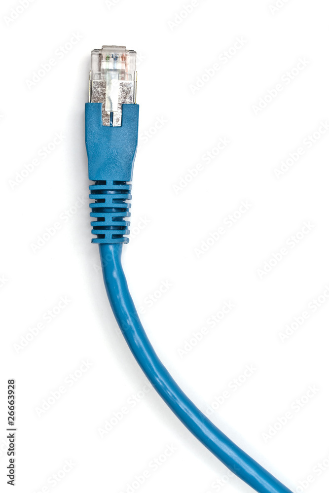 Wall mural Blue network cable on white